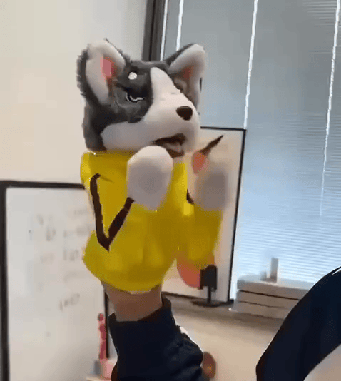Puppo Punch™ — The Boxing Husky That Fights Back